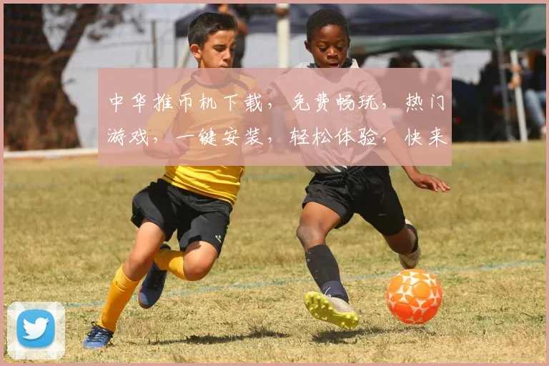 中华推币机下载，免费畅玩，热门游戏，一键安装，轻松体验，快来下载