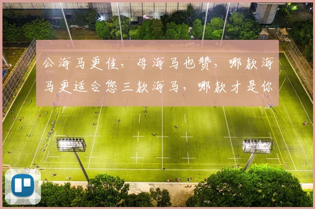 公海马更佳，母海马也赞，哪款海马更适合您三款海马，哪款才是你的心头好