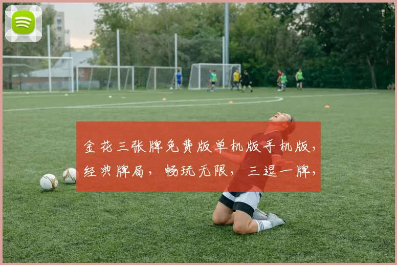 金花三张牌免费版单机版手机版，经典牌局，畅玩无限，三逗一牌，独家体验